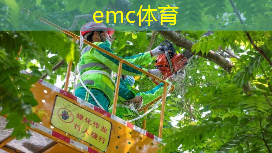 临沂园林绿化工程竣工备案表