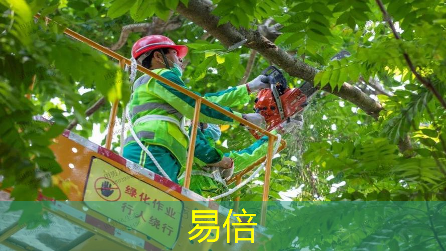 开荒绿化工程施工流程