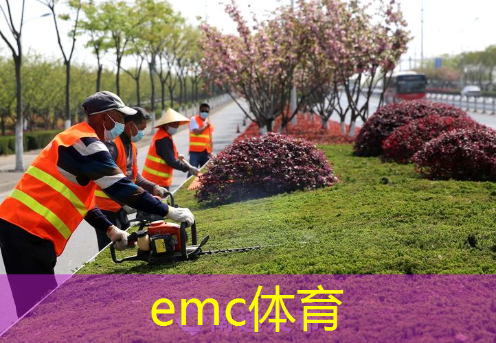 宿迁迎宾高架绿化工程