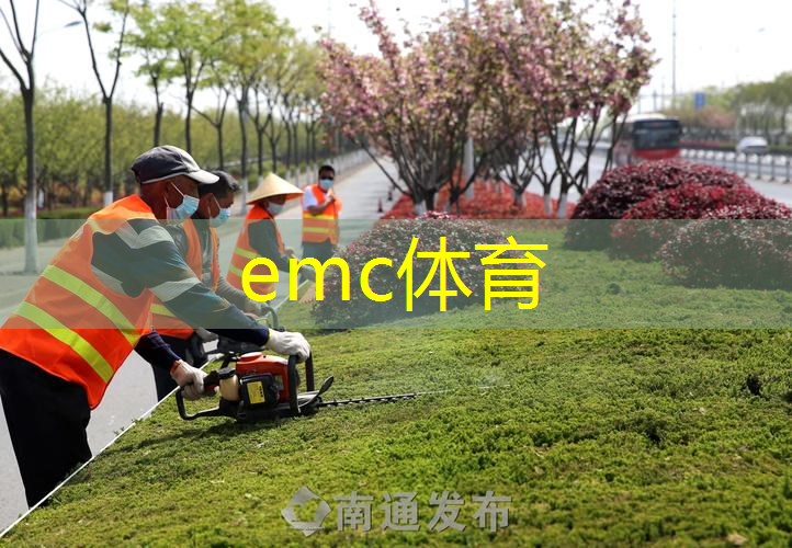 大苏式园林景观设计特点