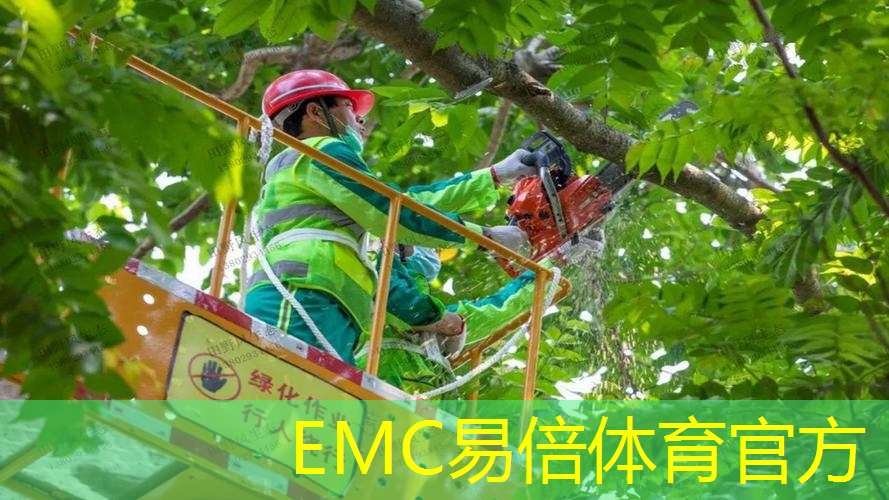 城市公园景观的设计规划