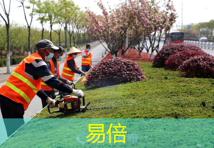 河堤绿化工程报价表模板