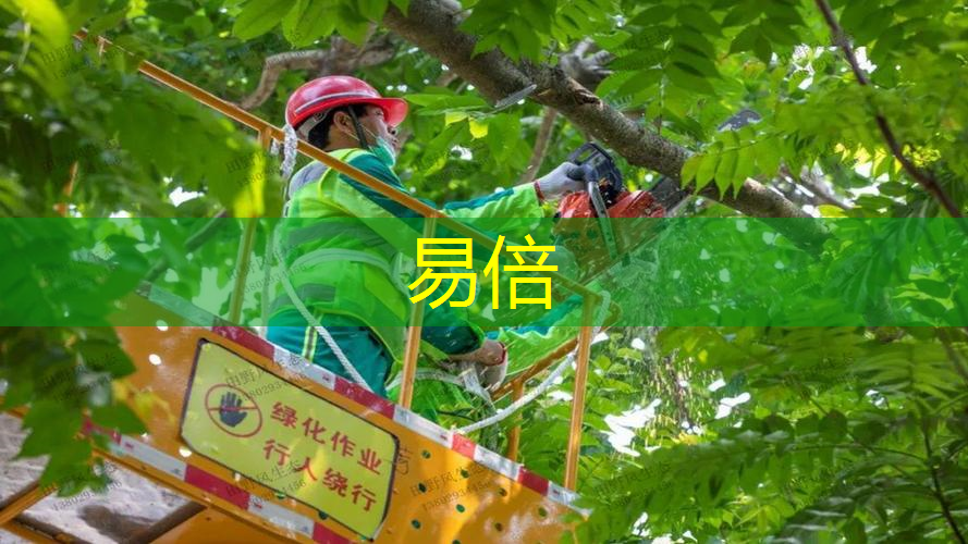 闵行区草坪绿化工程费用