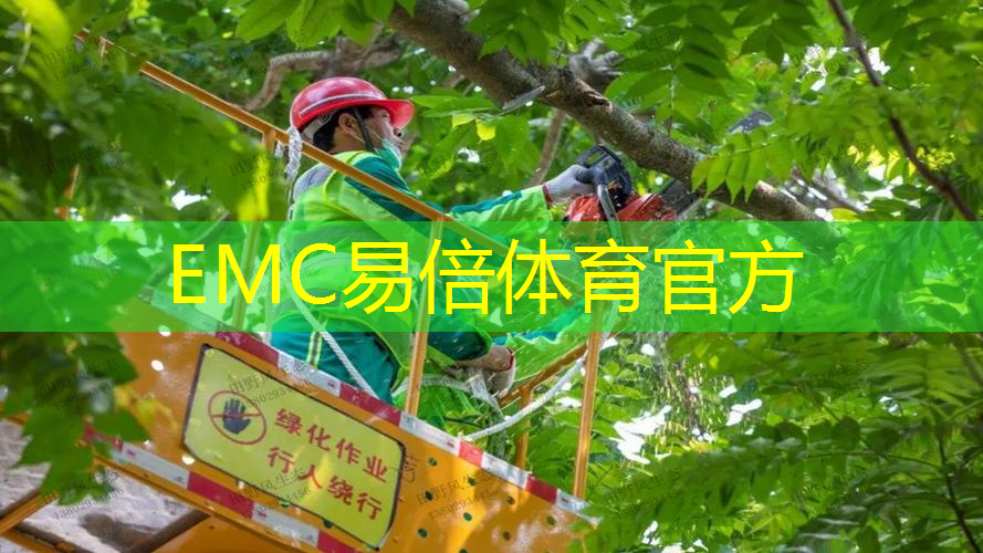 河湖缓冲带算绿化工程吗