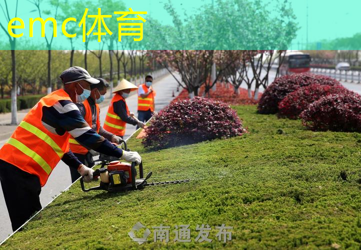 哪里有卖火棘绿化工程苗