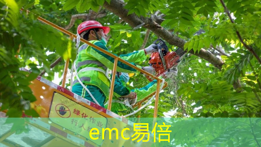 西宁绿化亮化工程项目