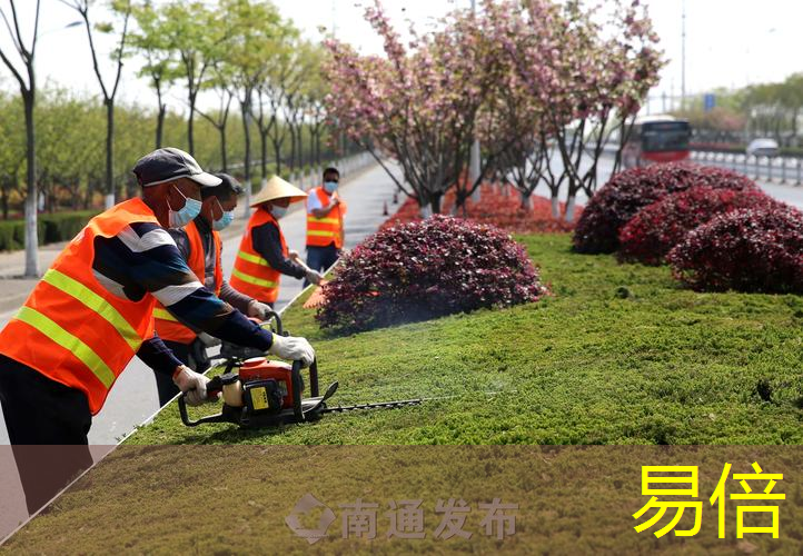 虹口区景观绿化工程服务 虹口区景观绿化工程服务