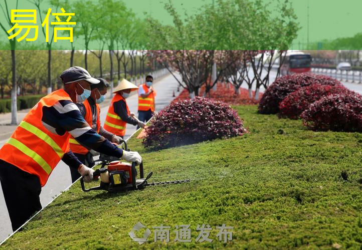 学绿化工程的书籍有哪些 学绿化工程的书籍有哪些