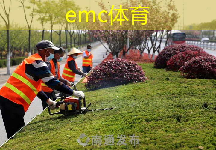 城阳区祥阳路绿化工程