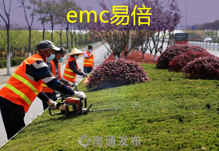 大理绿化工程曝光事件始末