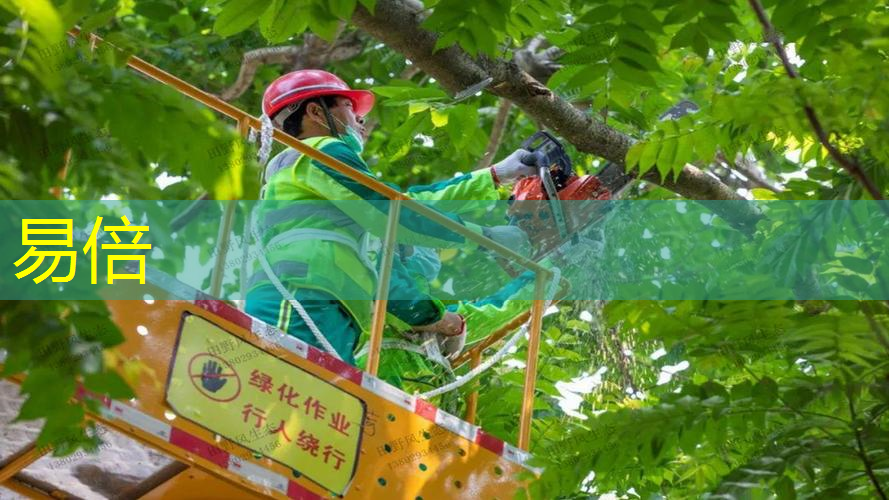 户外广场园林景观设计经典案例