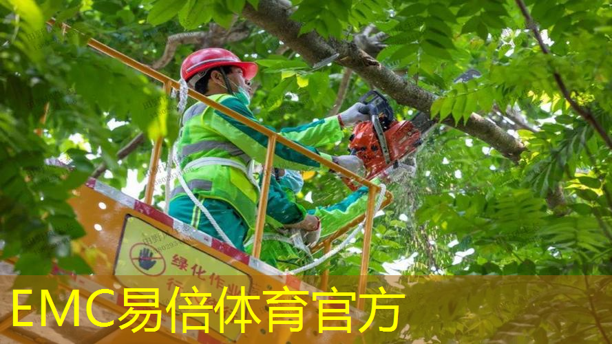300平方米楼顶园林景观设计