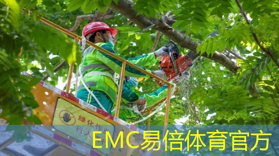 别墅园林景观设计工程师