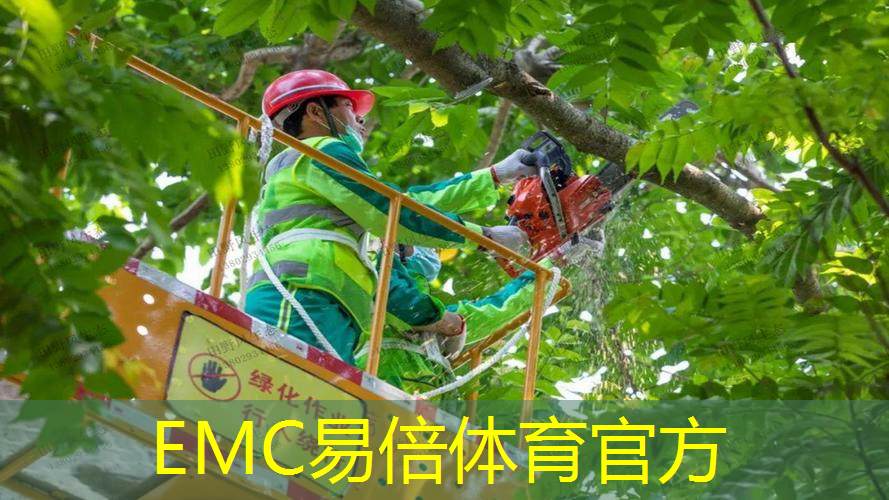 城市园林建设遇困，管理人员应有的素质是什么？