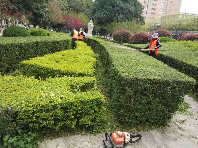来宾市边坡绿化工程