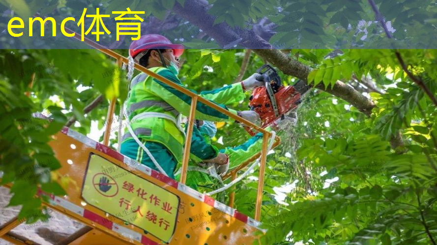 花影摇窗园林景观设计
