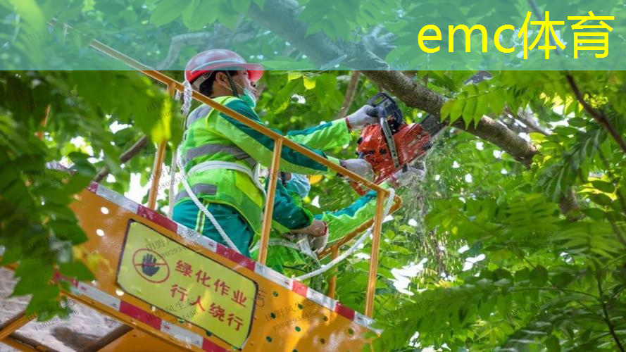 茶楼天台园林景观设计方案