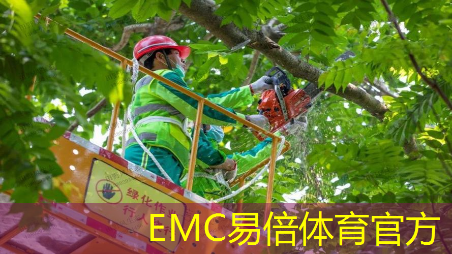 大同假树园林景观设计