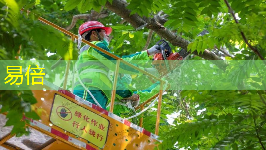 市政园林管理存在漏洞，市民安全堪忧！