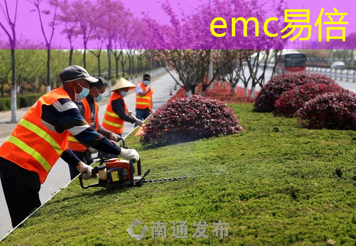 绿化工程如何应用于城市雨水收集和再利用的可行性研究？